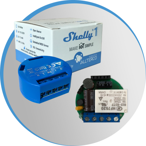 Review Shelly plug s 